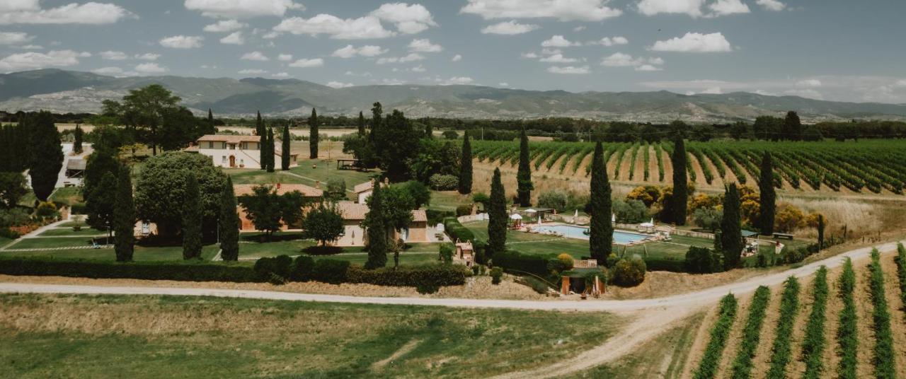Via Della Stella Villa Valiano Dış mekan fotoğraf
